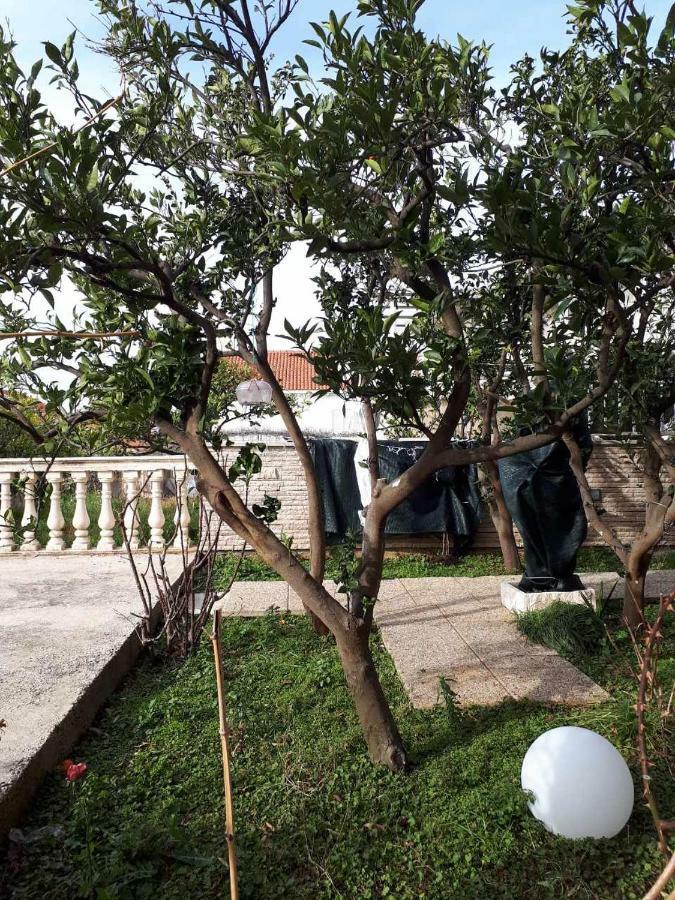 Apartment "Kamelia"Cavtat Exterior photo